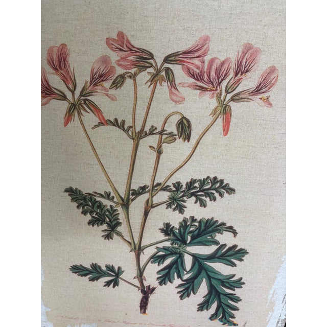 Botanical Canvas Wall Art- Set of 4 For Sale - Image 9 of 12