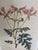 Botanical Canvas Wall Art- Set of 4 For Sale - Image 9 of 12