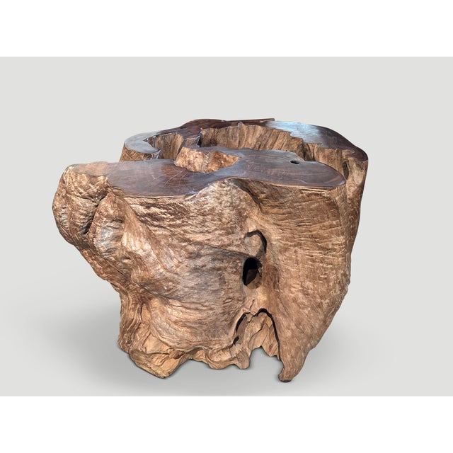 Andrianna Shamaris Organic Teak Wood Coffee Table or Pedestal For Sale In New York - Image 6 of 6