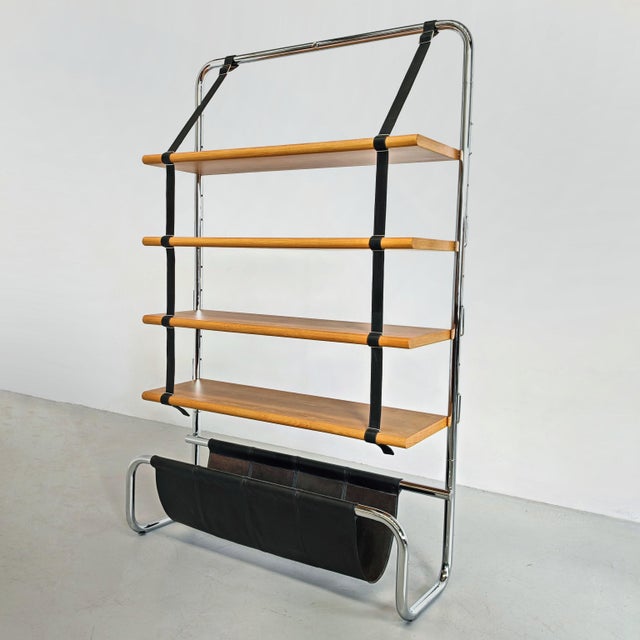 Poltrona Frau Jumbo Line Bookcase by Luigi Massoni for Poltrona Frau, 1970s For Sale - Image 4 of 18