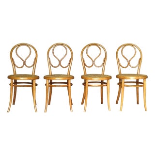 Chairs in Natural Oak by Michael Thonet for Gebrüder Thonet, Set of 4 For Sale