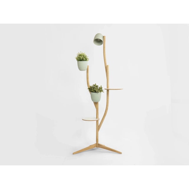 Deluxe Branch-Out Set from Studio Lorier For Sale - Image 9 of 9