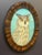 Owl Framed Print For Sale In San Francisco - Image 6 of 10