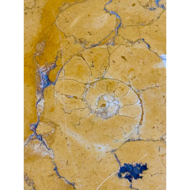 Italian Baroque Carved Wood Console Siena Marble Top Encrusted Nautilus Fossils For Sale - Image 11 of 12