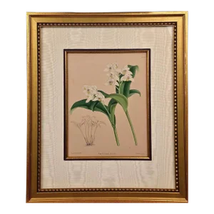 John Nugent Fitch Orchids, Framed 19th Century Hand-Colored Botanical Engraving