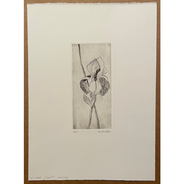 1997 David Baird "Iris" floral still life etching, pencil signed and titled, marked lower left as a trial proof. Sheet:13...