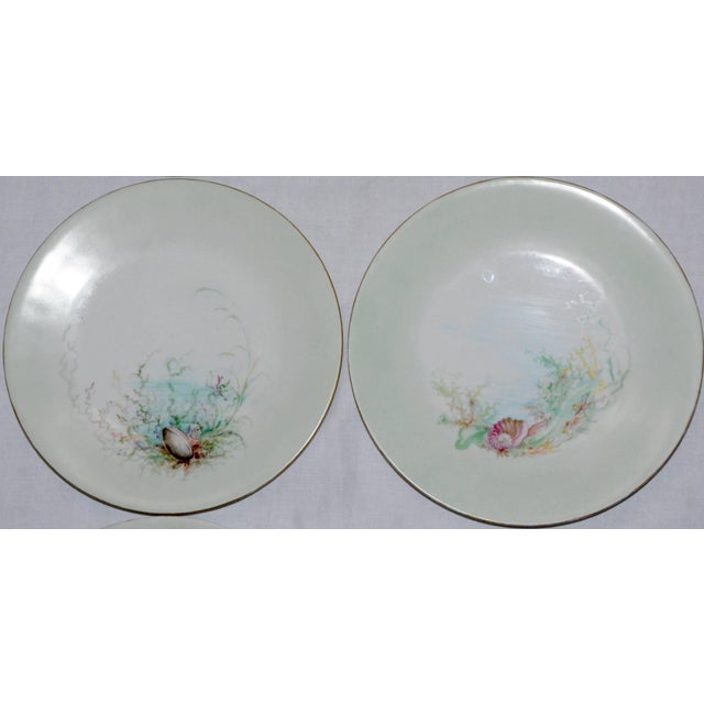 We are offering a fabulous set of six dinner plates with a variety of seashell scenes. Two of the plates are signed on the...