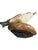 1930s Austrian Folk Art Carved Wood Bird #81, 1930s For Sale - Image 5 of 6
