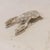 Silver 1940s Alpaca Silver Lobster Serving Tray With Lid, Spain For Sale - Image 8 of 14