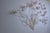 Flower Sculpture from Curis Jeré, 1970s For Sale - Image 9 of 13