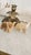 A decorative pair of vintage hand-carved onyx elephant figurines in warm honey and cream banded stone. The raised trunks...