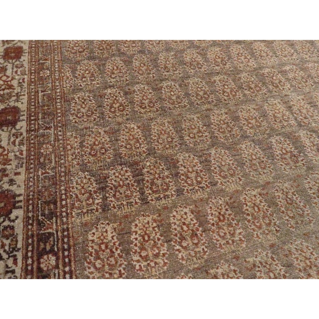 Rustic Galerie Shabab Collection Early 20th Century Persian Tabriz Hagi Jalili Rug For Sale - Image 3 of 5