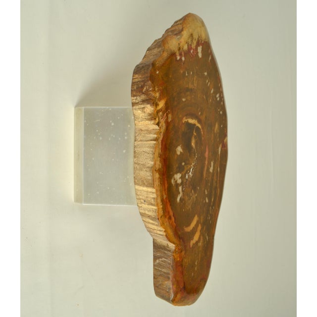 Architectural Push Pull Door Handle in Petrified Wood, 1970s For Sale - Image 6 of 14