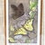 Victorian Fred Edwards “Butterfly Bush” Hand-Colored Etching and Aquatint, 13/25 For Sale - Image 3 of 14