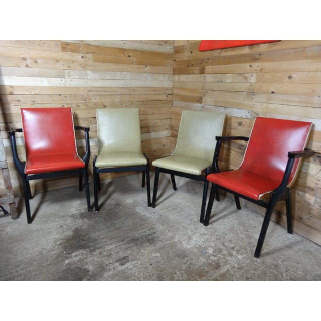Ebonised Dining Chairs from Stako, 1950s, Set of 4 For Sale - Image 3 of 15
