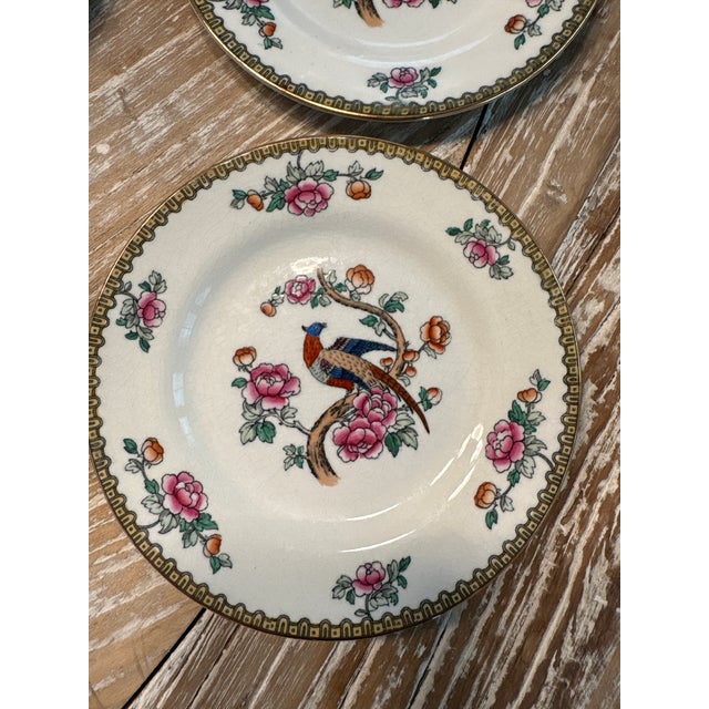 Set of 4 F. Winkle Whieldon Ware Pheasant fruit saucer plates
