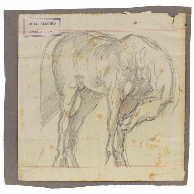 The Horse is an original artwork realized by Luigi Galli in the late 19th Century. Pencil drawing on paper. The artwork...
