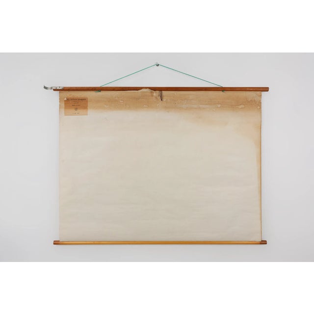 Vintage School Wall Map of Europe 1815-1871, Belgium, 1950s For Sale - Image 9 of 11