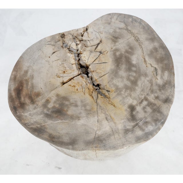 Beige Large Petrified Wood Organic Stomp Shape Stand End Side Table Pedestal For Sale - Image 4 of 9