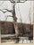 Andrew Wyeth Cold Spring Lithograph Print, Framed For Sale - Image 9 of 12