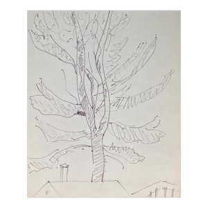 Frank Wallace Pine Tree Landscape Drawing