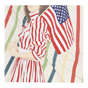 Stars and Stripes, Signed Lithograph by Robert Anderson