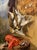 Emil Carlsen - Still Life of Lobster & Game - 19th Century Oil Painting For Sale - Image 4 of 13