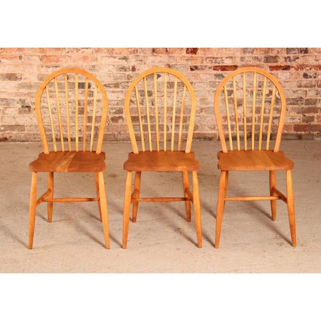 Set of 3 of mid century Ercol chairs made in elm and beech circa 1950s. 2 of the chairs retain their original blue labels....
