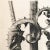 Karl Blossfeldt, Natural Grace, 1942, Photogravure, Framed For Sale - Image 6 of 11