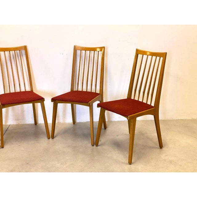 Set of 4 60s dining chairs in beech wood