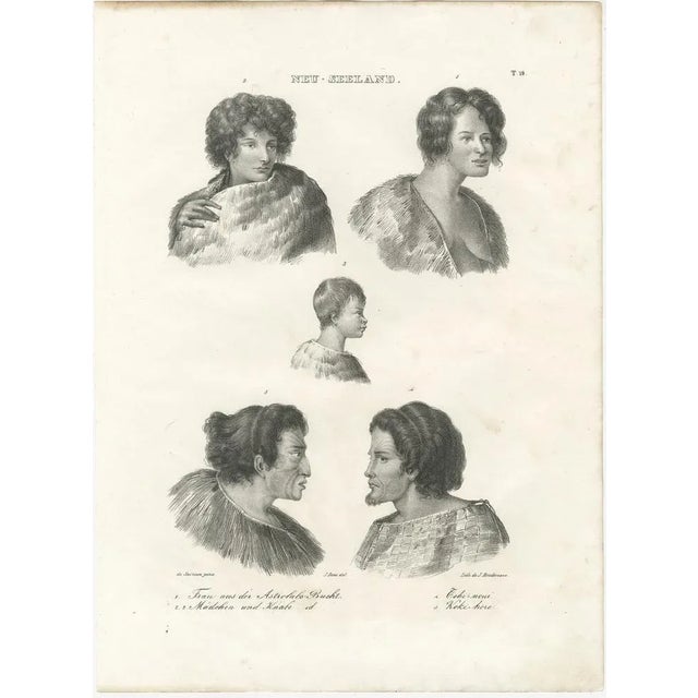 Title: Detailed Portraits of Maori Life and Tattoo Art in New Zealand : This compiled lithographic image provides a...