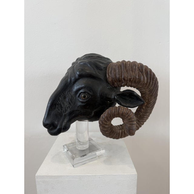 Wood Northern European Artist, Ram's Head, 19th Century, Wood For Sale - Image 7 of 14