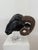 Wood Northern European Artist, Ram's Head, 19th Century, Wood For Sale - Image 7 of 14
