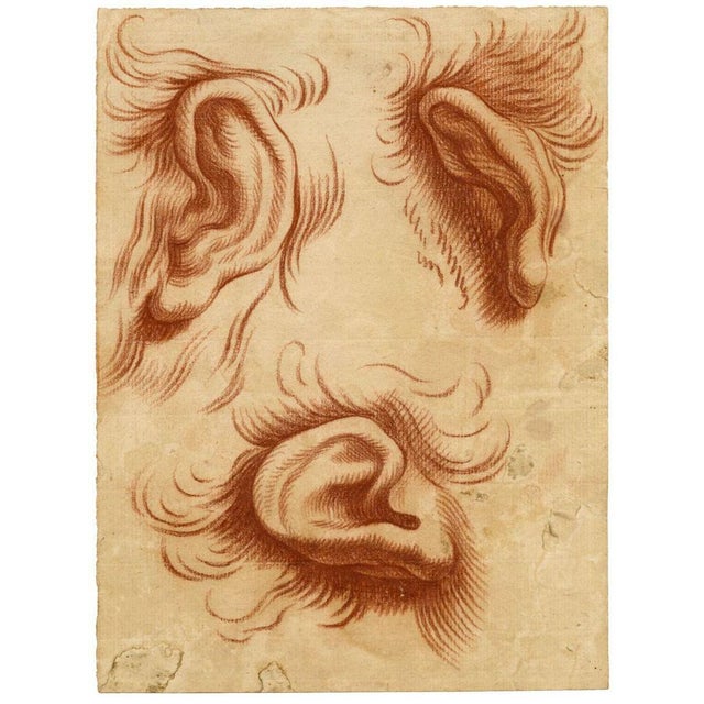 After Charles Le Brun, Physiognomy Study of Ears, 18th Century, Chalk Drawing For Sale - Image 3 of 4