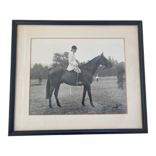 Early 20th Century Framed Equestrian Black and White Photo Signed by Listed Photographer Carl Klein For Sale