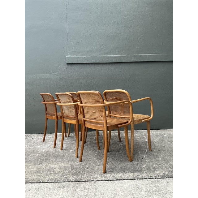 Late 20th Century Vintage Stendig Bent Wood Cane Dining Chairs - Set of 6 For Sale - Image 5 of 16