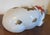 Large 13.25" Japanese Kutani Porcelain Figure of a Sleeping Cat For Sale - Image 9 of 15