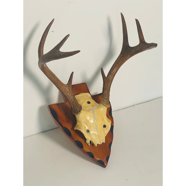 Vintage Roe Deer Antlers 8 Points on Wood Board For Sale - Image 4 of 4