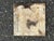 Early 20th Century Pastel Ceramic Tile For Sale - Image 5 of 5