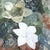 Mid-Century Modern Murano Glass Sconces with Floral Motifs from Seguso, 1970s, Set of 2 For Sale - Image 6 of 7