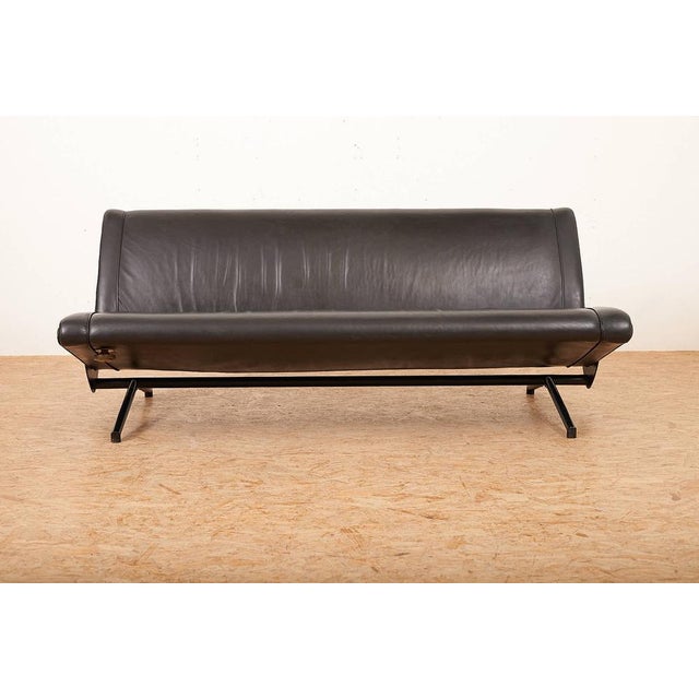 D70 Sofa in Leather with Metal Round Tube by Osvaldo Borsani for Tecno, 1954 For Sale - Image 16 of 16