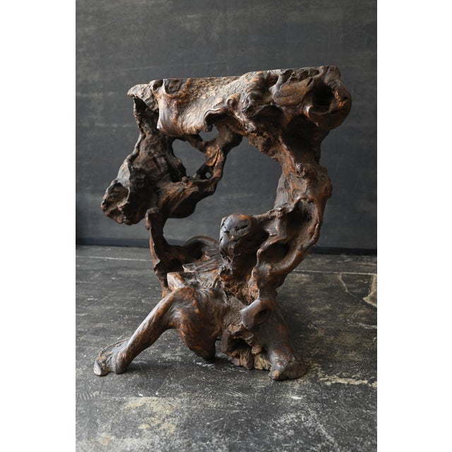 Antique Japanese Burl Wood Display Stand / Meiji-Showa / Organic One-of-a-Kind For Sale - Image 12 of 18
