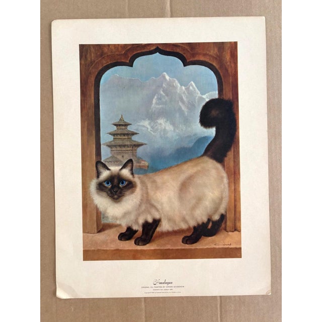 Up for sale is this lovely vintage cat print by Girard Goodenow, published in 1965. This print, one of several of his...