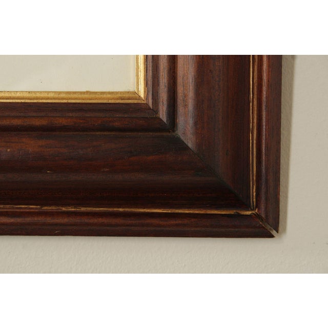 Brown Vintage Ornithological Print, 'Gallus Lafayettii' For Sale - Image 8 of 12