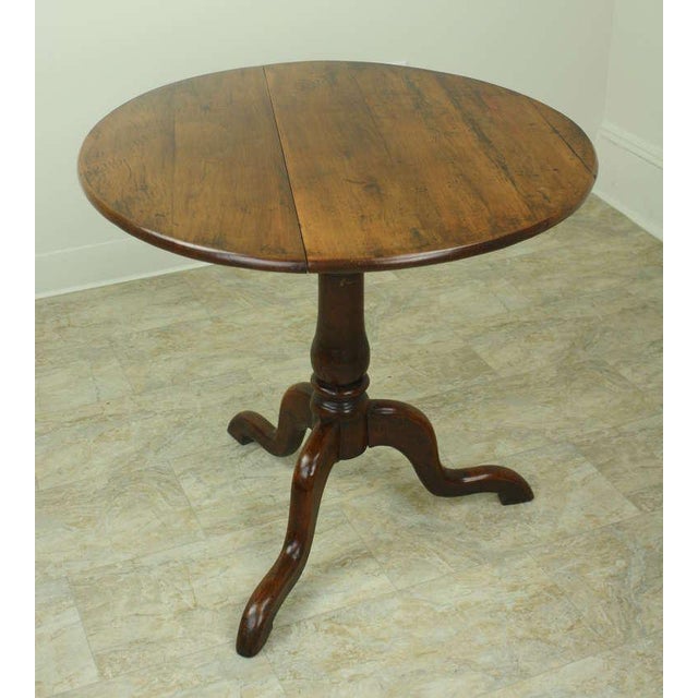 18th Century Cedar Tripod Tilt Top Table Chairish