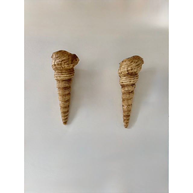 Pair of fiberglass wall sconces produced in France in the 1960s. Large size, rare and original design, warm color. E14,...