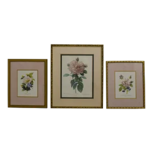 Lot of 3 Framed & Matted Floral Prints