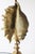Hollywood Regency Shell-Shaped Table Lamp from Maison Charles, Paris, 1970s For Sale - Image 10 of 16