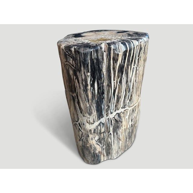 2010s Andrianna Shamaris Ancient Sculptural Petrified Wood Side Table For Sale - Image 5 of 6