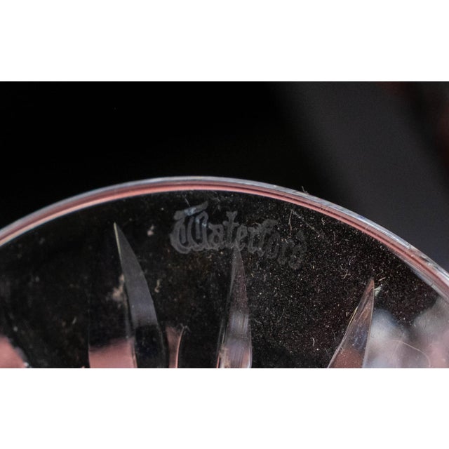 Transparent Set of 4 Waterford Eileen Crystal Champagne Sherbet Glasses For Sale - Image 8 of 8